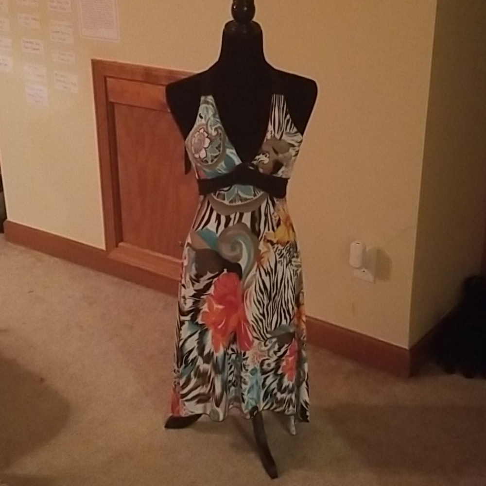 Evening Dress
